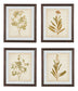 Ashley Express - Dyani Wall Art Set (4/CN)