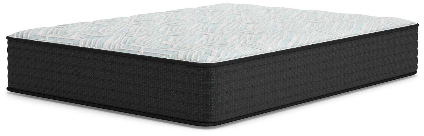 Ashley Express - Palisades Plush  Mattress