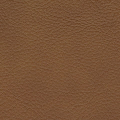 PCU10700/6A/57(2)/58/62 : PCU10700S10