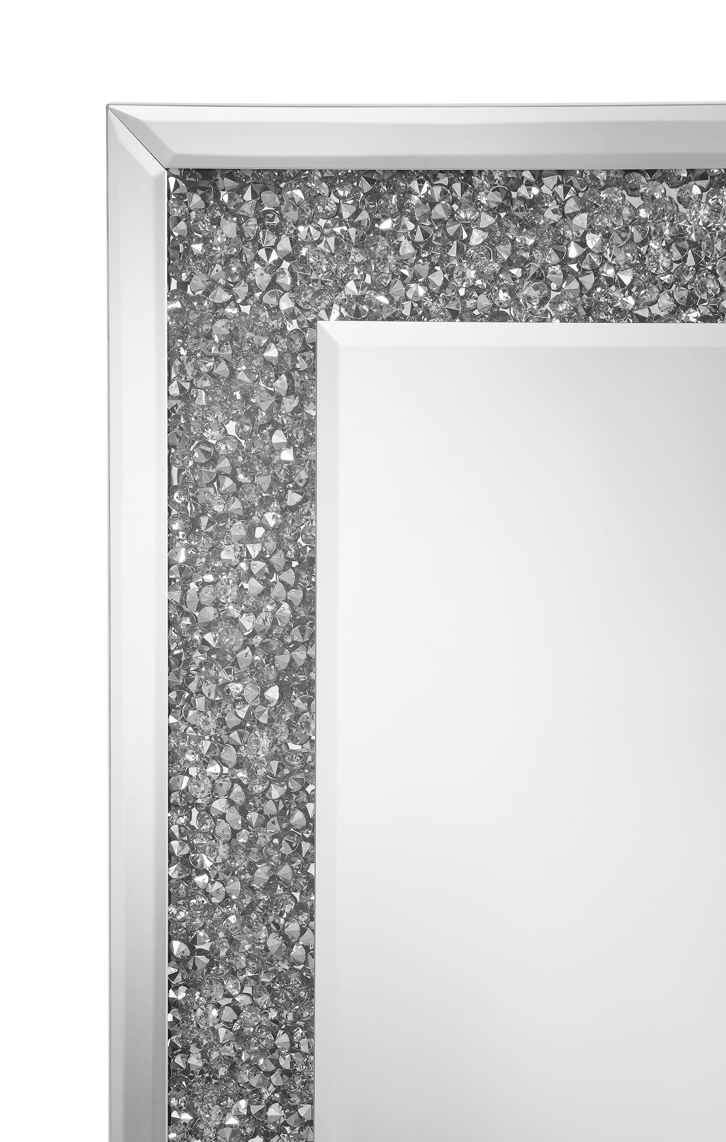 Valerie 24 x 63 Inch Acrylic Crystal Floor Mirror Silver